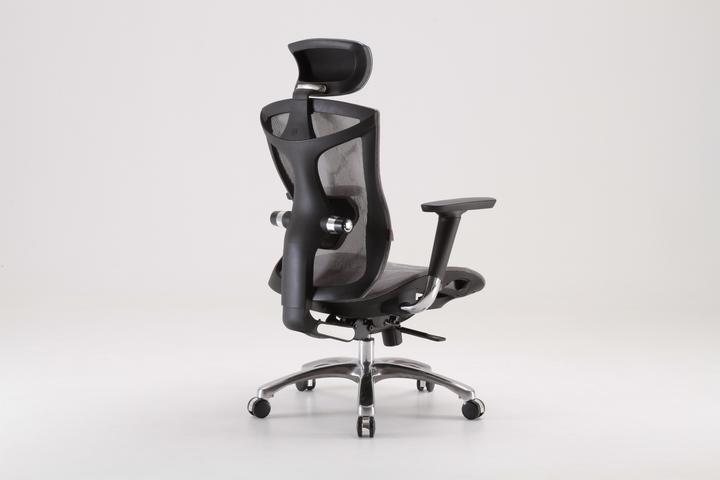 Immagine prodotto Sihoo V1 Ergonomic Office Chair, gray