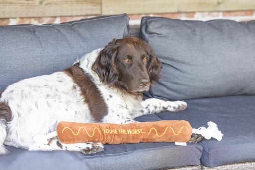 Immagine prodotto Beeztees Grillwurst + Seil (Cane giocattolo da tiro)