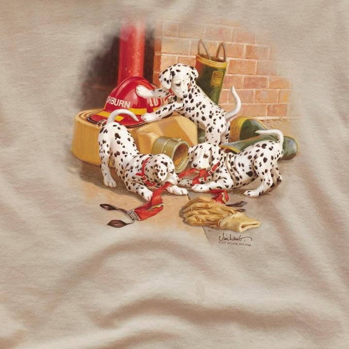 Produktbild Wildlife Wheres The Fire? TShirt (M)