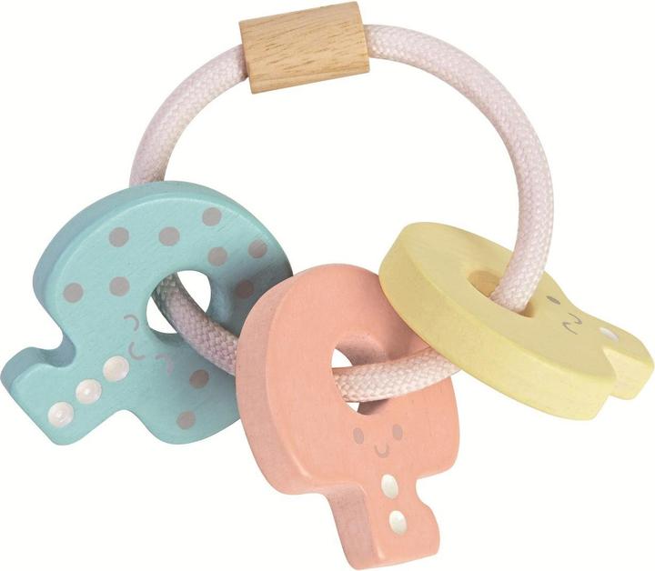 Actual product image Plantoys Key