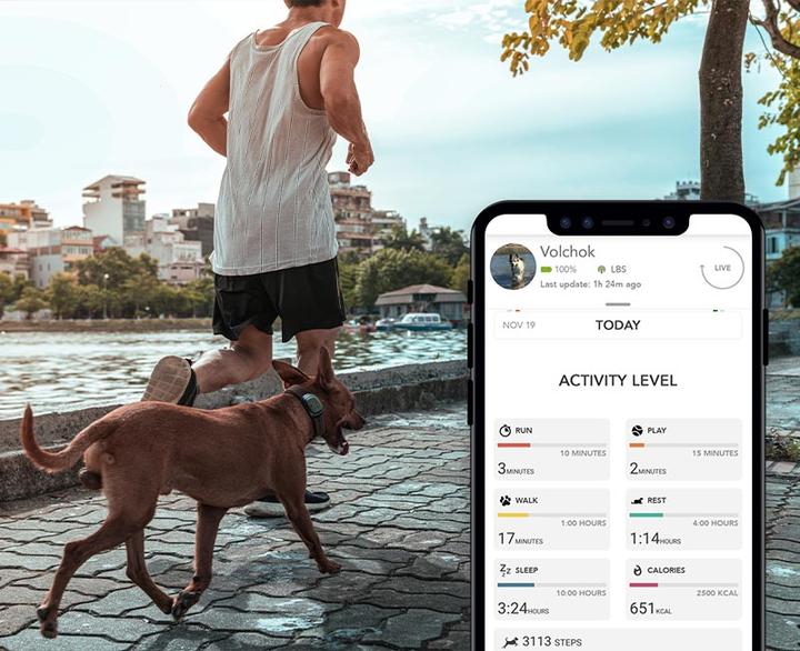 Actual product image Kippy Pet Finder (Cat, Dog, General)