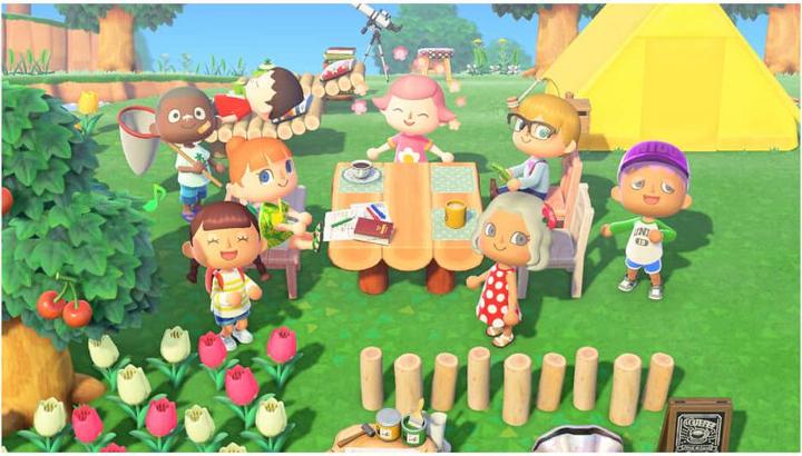 Produktbild Nintendo Animal Crossing: New Horizons (Switch, Switch Lite, Switch OLED)