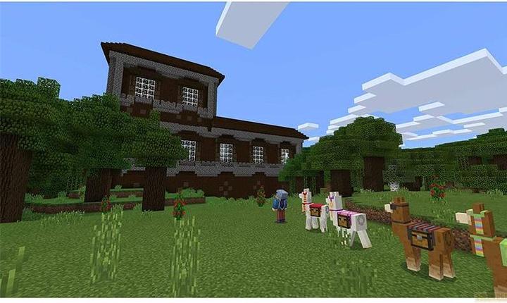 Actual product image Mojang Minecraft (PS5, DE)