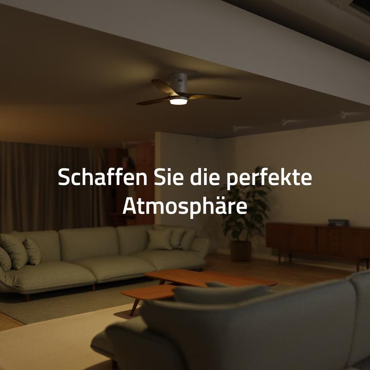 Produktbild Hombli Deckenventilator mit Licht (43 dB)