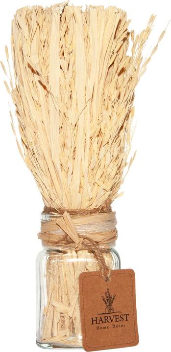 Produktbild Casativo Deko-Gras in dekorativem Glas (22 x 22 cm)