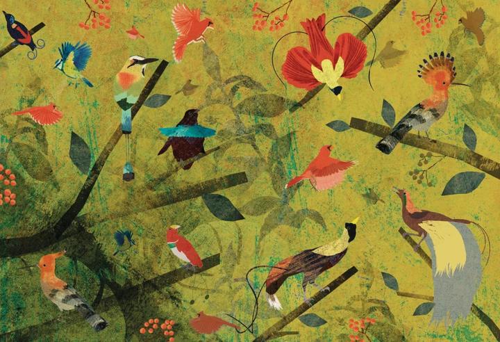 Produktbild Die Feder (Deutsch, Britta Teckentrup, 2018)