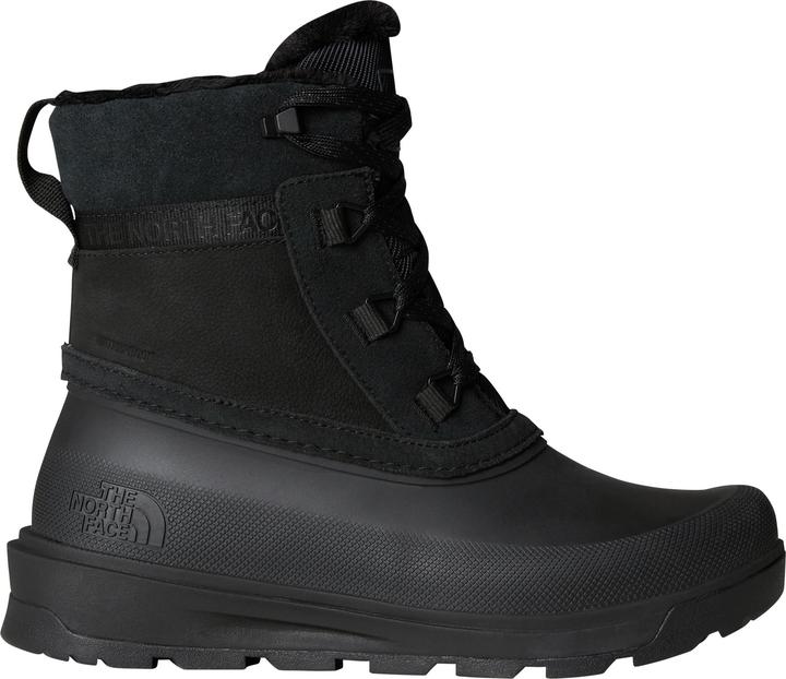 Actual product image North Face Shellista V Shorty WP (40)