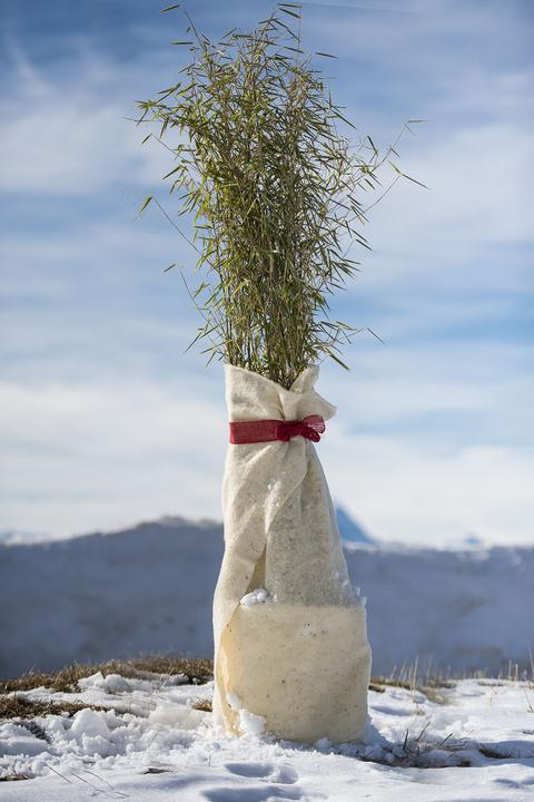 Image du produit Windhager Couverture en laine de mouton