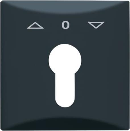 Actual product image Busch-Jaeger Central disc with imprint 2CKA001710A1894