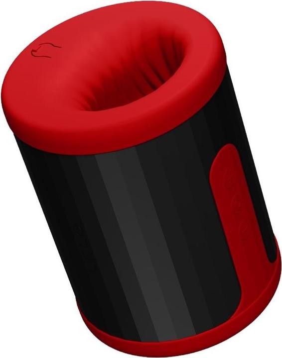 Image du produit LELO F2S