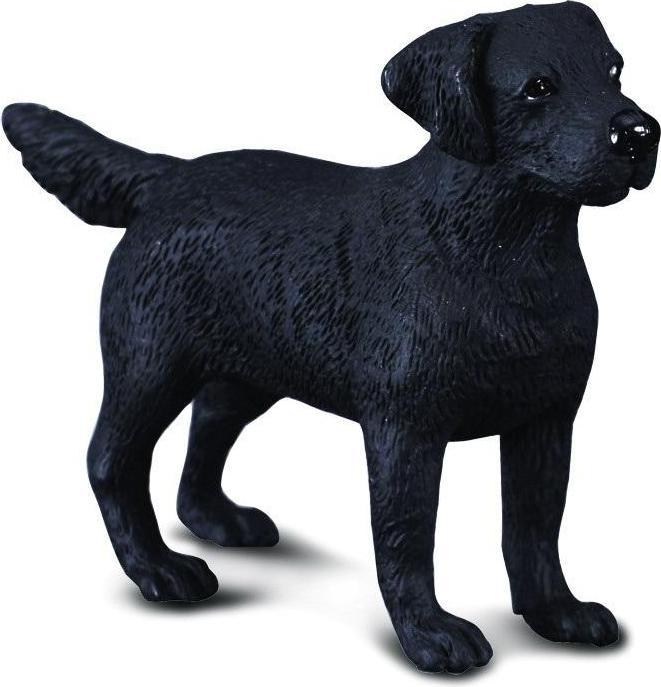 Image du produit Collecta Chien labrador
