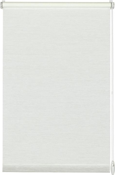 117 White