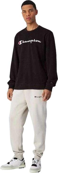 Produktbild Champion Sweatshirt Rundhalsausschnitt (L)