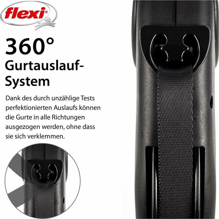 Actual product image Flexi Giant (Dog, Walks)