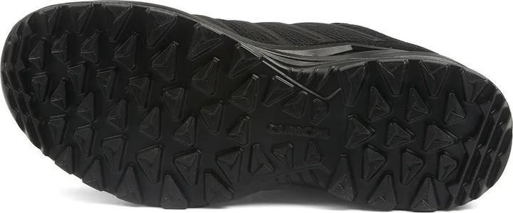 Image du produit Lowa Innox Pro GTX LO TF (45)