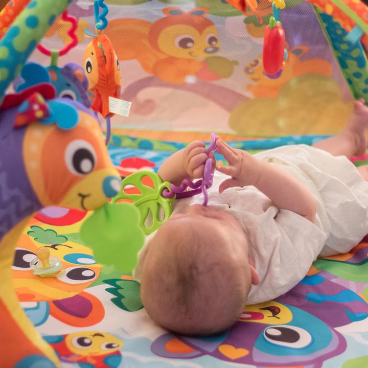 Immagine prodotto Playgro Coperta per giocare con gli animali della foresta