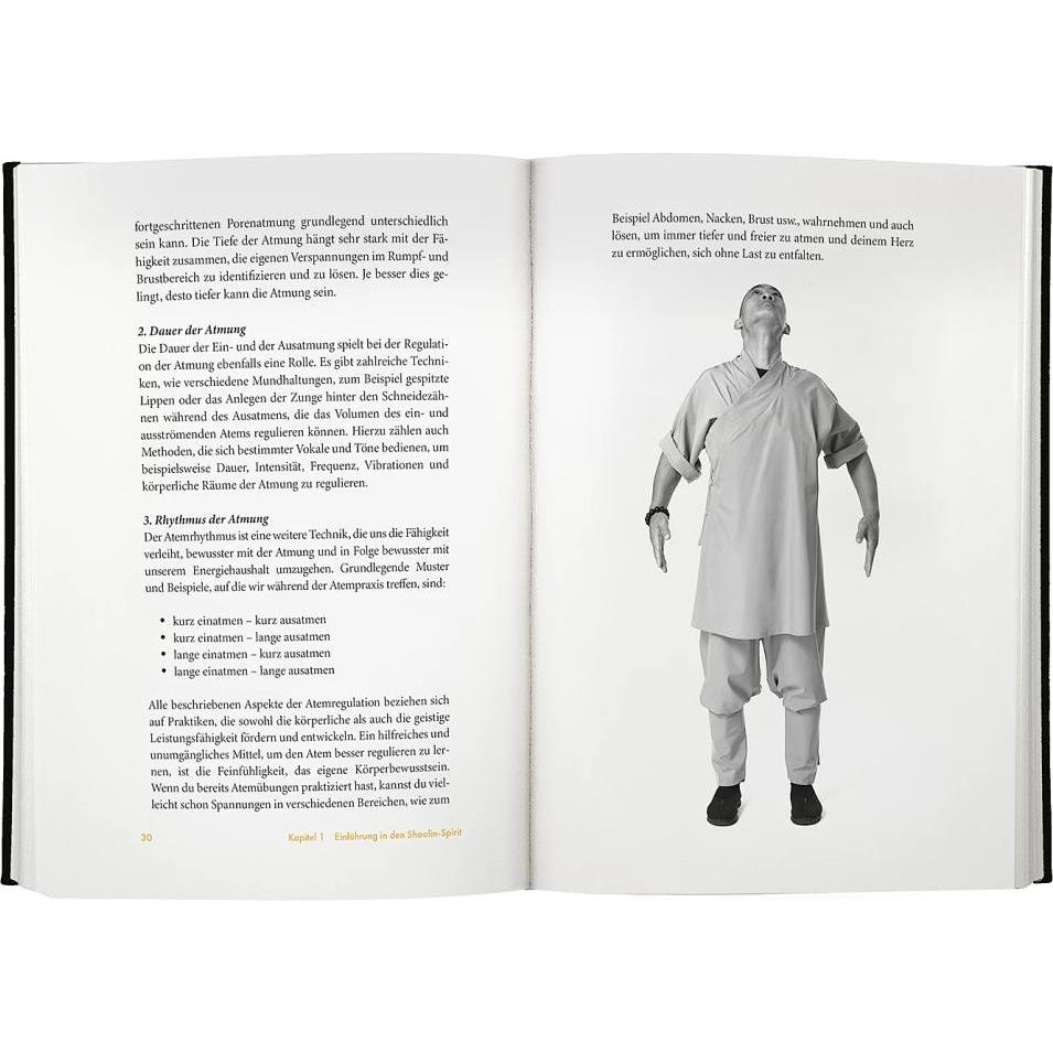 Thumbnail - Shaolin Spirit, Ratgeber von Stefanie Koch, Shi Heng Yi