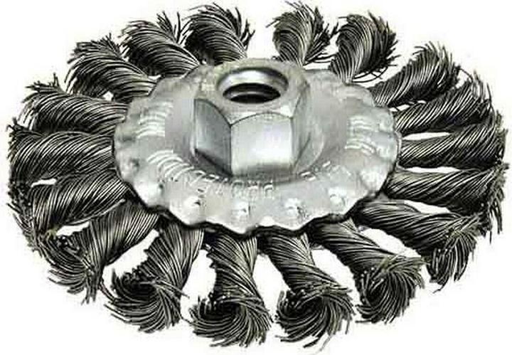 Actual product image Turtle Retorcided Brush With Spring