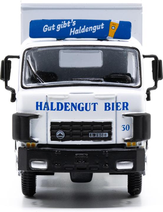 Actual product image Ace Saurer D250B F6x2 Frigo Haldengut