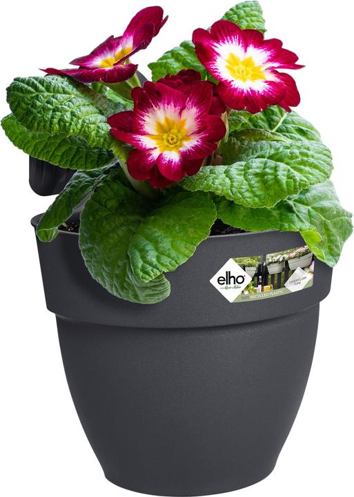 Produktbild Elho Blumenschale (24 cm)
