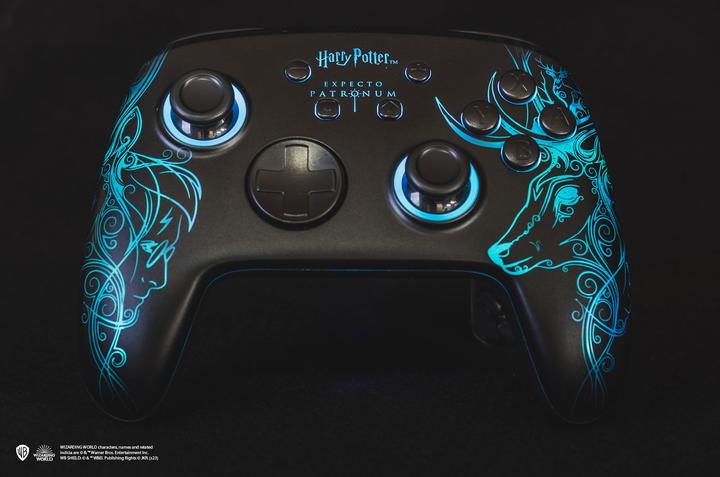 Immagine prodotto Freaks and Geeks Harry Potter (Switch, PC)