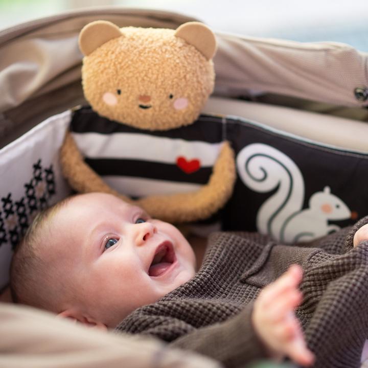 Immagine prodotto Taf Toys SnuggleBear