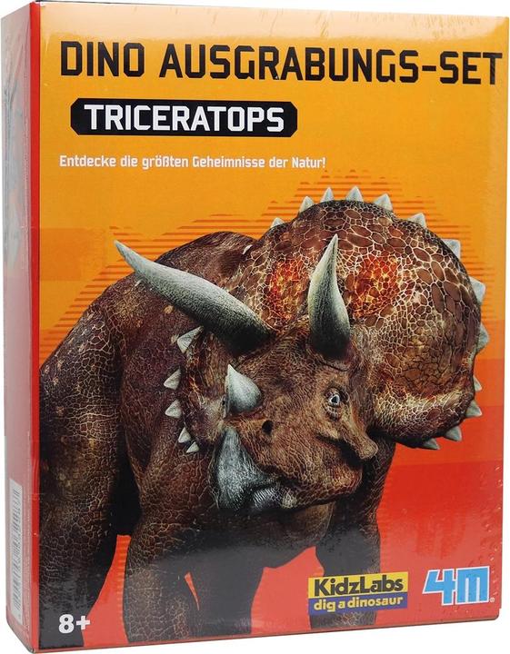 4M Dinosaur excavation - Triceratops