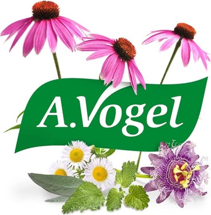 Image du produit A. Vogel Dormeasan Lemon Balm Restful Sleep Comprimés 60 Comprimés