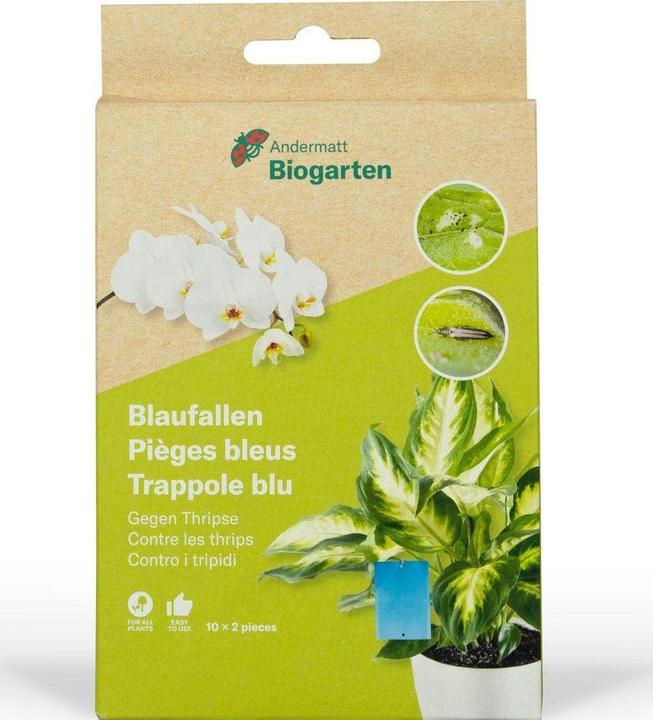 Actual product image Andermatt Biogarten Blueballs