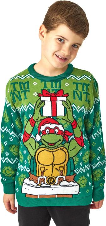 Produktbild Teenage Mutant NT Pullover Jerseyware Jungen weihnachtliches Design (116)