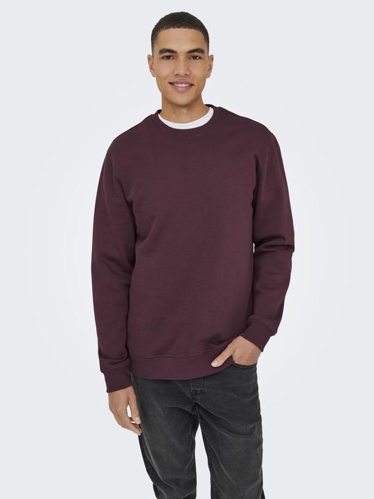 Immagine prodotto Only & Sons Onsconnor Reg Crew Neck Sweat Noos (L)