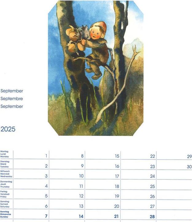 Immagine prodotto Cosa Calendario fotografico Mili Weber