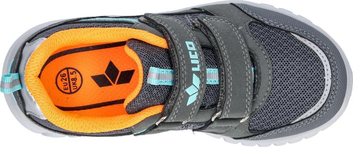 Image du produit Lico Randy V (21)