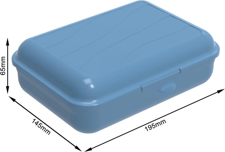 Actual product image Rotho Storage box