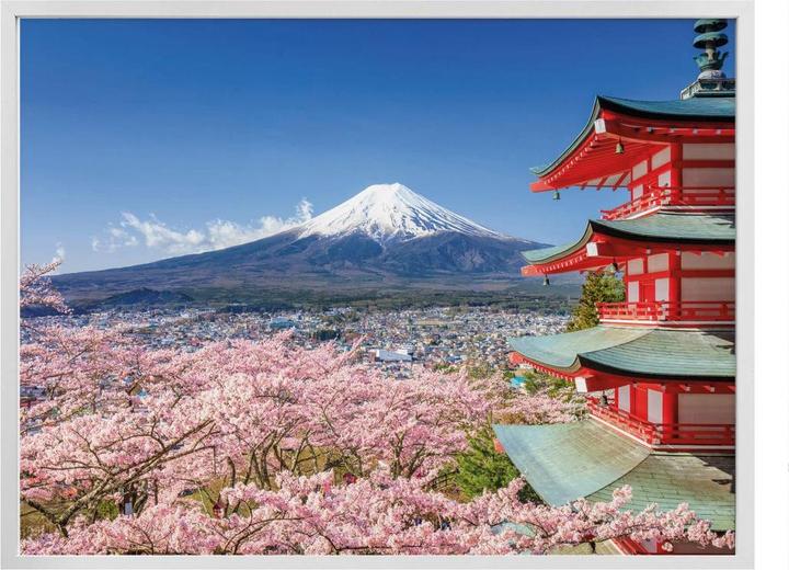 Image du produit Trenddeko Mont Fuji (50 x 40 cm)