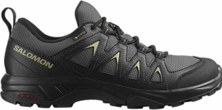 Salomon X BRAZE GORE-TEX heren Wandelschoen, Magnet / Black / Gray Green, 44 2/3 EU (44 2/3)