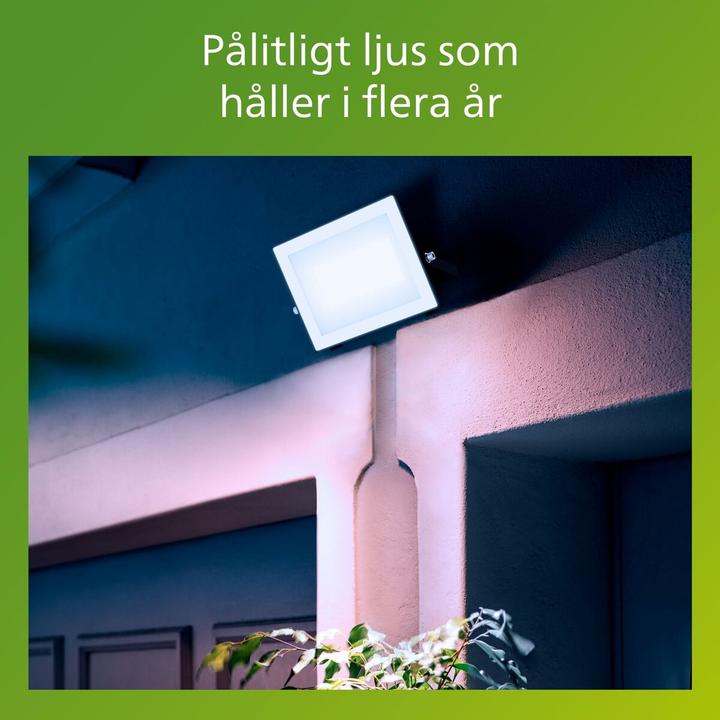 Actual product image Philips Outdoor Flutlicht Lois (4750 lm, IP65)