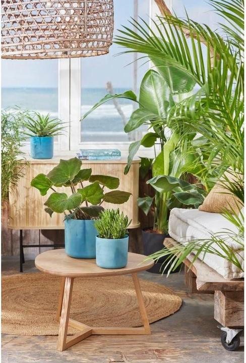 Produktbild Elho The Ocean Collection (22.30 x 20.40 cm)