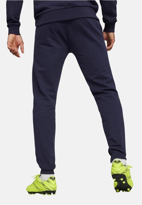 Image du produit Puma teamGOAL Casuals Pants (L)