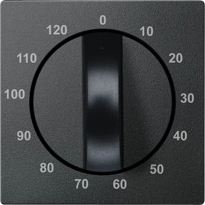 Actual product image Merten Central plate for timer insert 539214