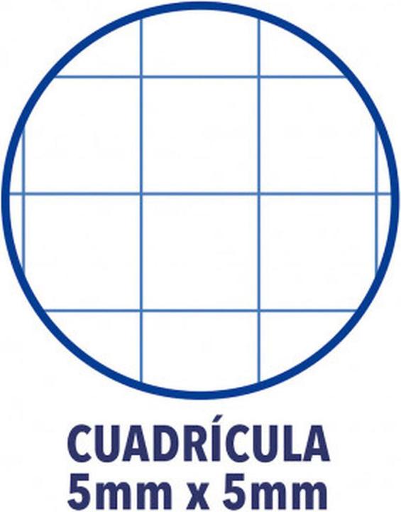 Produktbild Oxford European Book (A4+, Kariert, Weicher Einband)