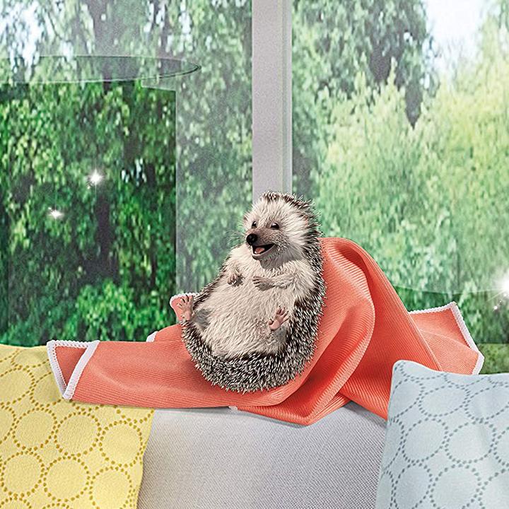 Actual product image Spontex Fenstertuch Microfibre (1 pcs.)