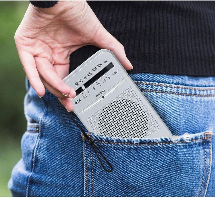Actual product image LTC Radio Lega (FM, MW)