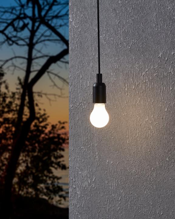 Image du produit EGLO Sources lumineuses (E27, 4.50 W, 470 lm, 1 x, F)