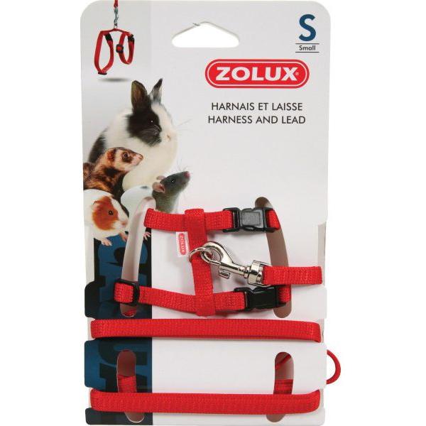 Zolux petnešos ir pavadėlis žiurkei S, raudonos spalvos, Collare + Guinzaglio