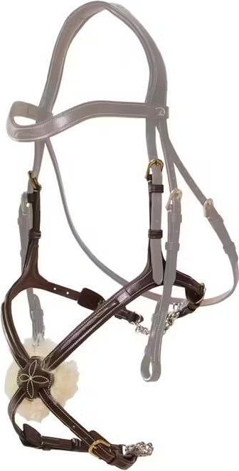 Dy'on Muserolle cheval Mexicaine avec chaines