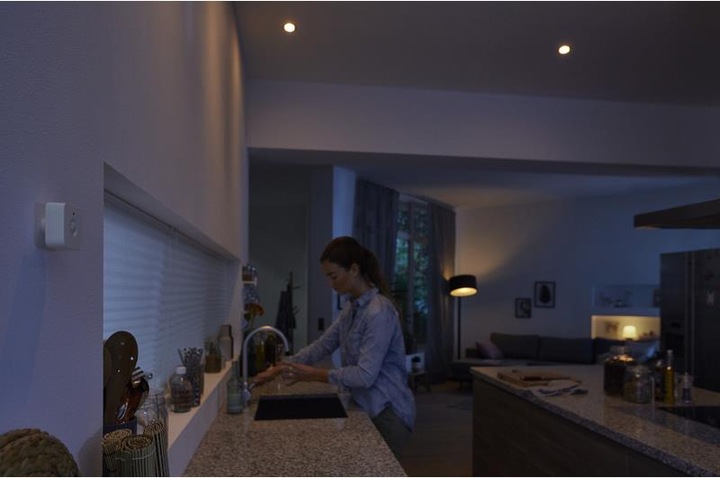 Image du produit Philips Hue Détecteur de mouvement Hue (5 m)
