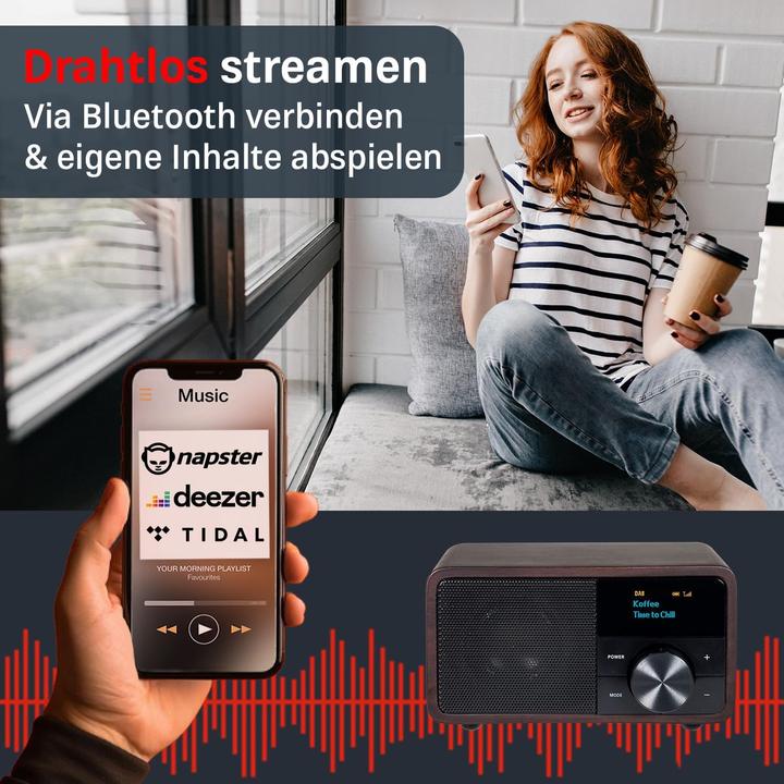 Produktbild Kathrein DAB+ 1 mini (DAB+, FM, Bluetooth)