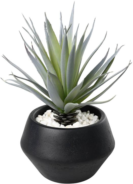 EGLO Kunstpflanze 20cm (20 cm)