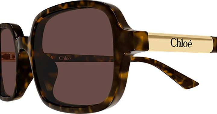 Immagine prodotto Chloé Chloe CH0363S